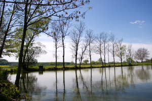 pohled na obecní rybník